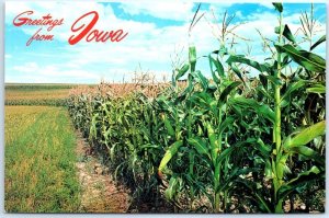 Postcard - Greetings From Iowa