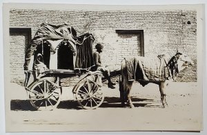 India Young Girl in Carriage Ox Cart Fancy Textile Man Turban RPPC Postcard A29