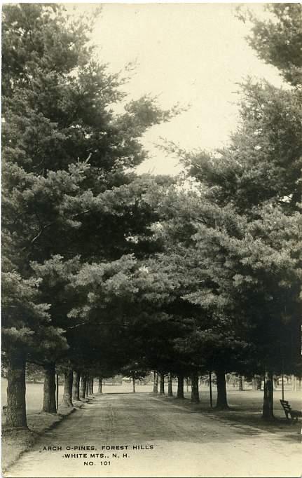 RPPC Arch of Pines, Forest Hills, NH New Hampshire - White Mountains