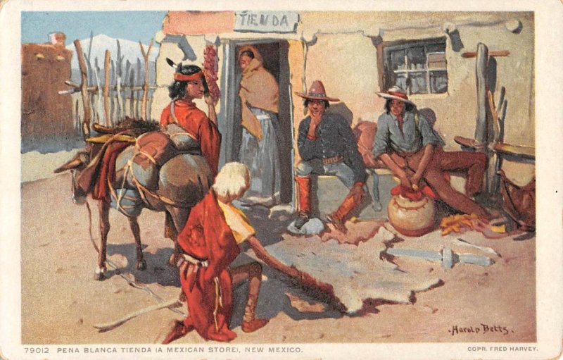 Pena Blanca Tienda Native American Indians Domingo NM Fred Harvey 1910s Postcard