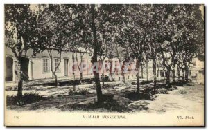 Postcard Old Hammam Maskhoutine