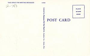 Fish - Maine Lake Trout