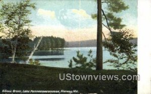 Lake Pennesseewassee in Norway, Maine