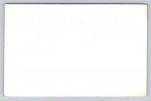 RPPC  Hoback Canon    Jackson Hole  Wyoming    Postcard