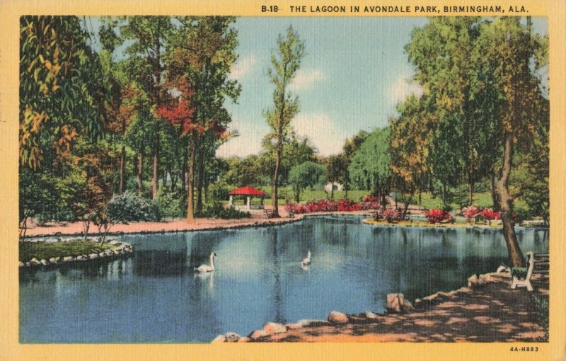 Circa 1949 Swans, Lagoon in Avondale Park, Birmingham, Alabama Linen Postcard