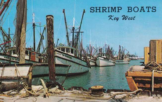 Shrimp Boats in Harbor - Key West FL, Florida