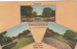 DALLAS, Texas, 1930-1940s; Scenes In Lake Cliff, Rose Garden