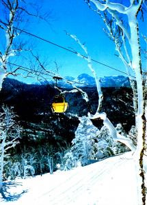 Japan - National Park, Shiga Heights (Aerial Lift)