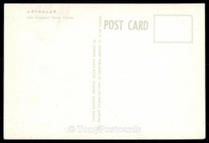 Amis Aboriginal Dance