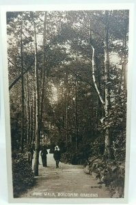 New Vintage Postcard Pine Walk Boscombe Gardens c1900 VGC