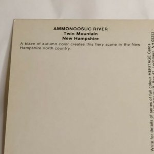 Postcard Ammonoosuc River Twin Mountain 1988 New Hampshire Autumn Color 2025