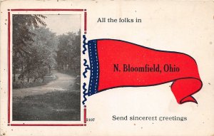 F60/ North Bloomfield Ohio Pennant Postcard c1910 Sincerest