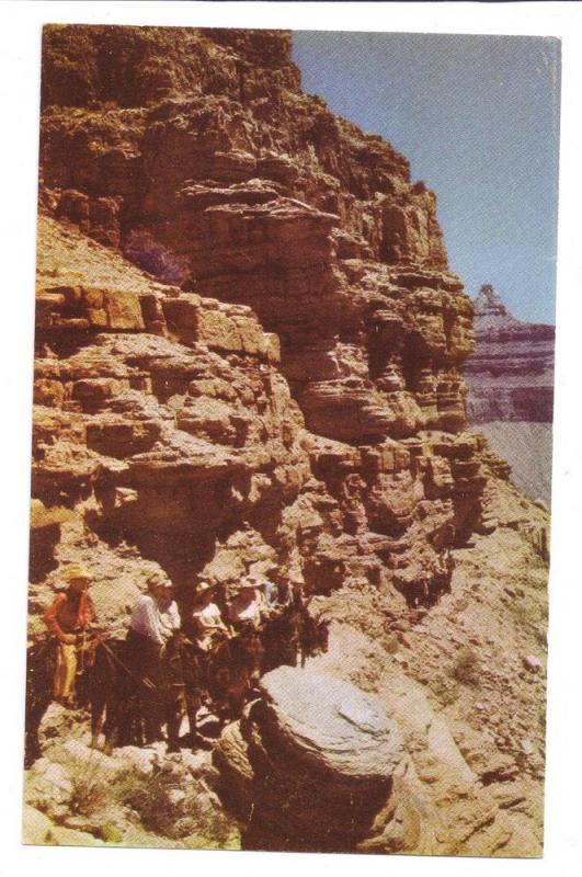 Grand Canyon Kaibab Trail Mules Riders Fred Harvey Chrome