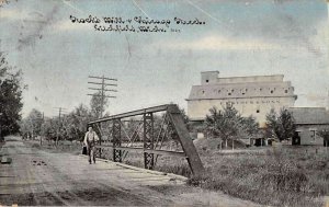 Litchfield Michigan Stocks Mill and Chicago Street Vintage Postcard AA43944