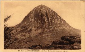 CPA Env. d'YSSINGEAUX - Le Mont GERBIER-des-Jones (517485)