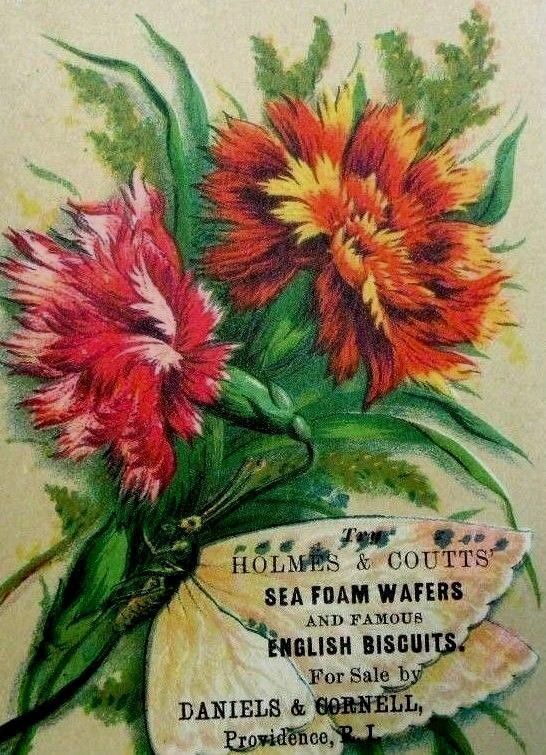 Victorian Trade Card Holmes & Coutts' Sea Foam Wafers & English Biscuits Y2