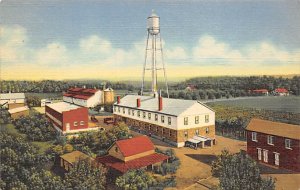 Farm Building Trappist Kentucky Postcard