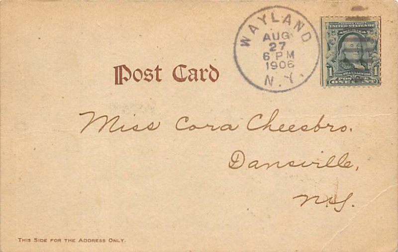 The whole damn family Oddities 1906 