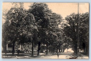 Racine Wisconsin Postcard 10th Street Exterior Road Trees c1908 Vintage Antique