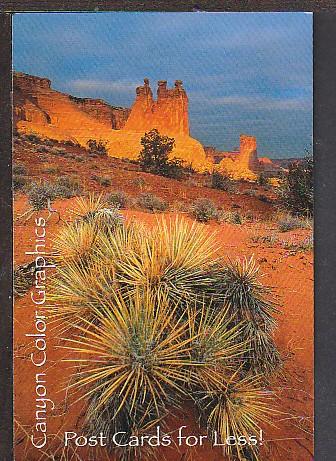 Canyon Color Graphics Advertising Postcard BIN 