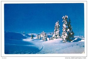 Deep Powder Snow, Diamond Head Chalet, Giribaldi Park, British Columbia, Cana...