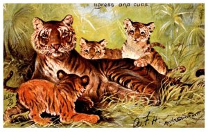 Tigress and Cubs , Tuck's 9154