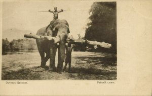 ceylon, Native People with Working Elephant (1910s) Russian Red Cross Postcard