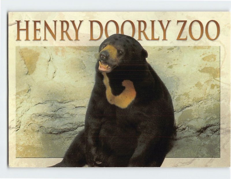 Postcard Sun Bear, Henry Doorly Zoo, Omaha, Nebraska