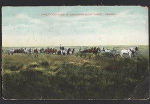 Northwest Canada Wheat Cutting - Horse-Drawn Equipment pm1908 ~ DB