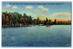 Fish Creek State Camping Grounds Between Tupper And Saranac Lakes NY Postcard