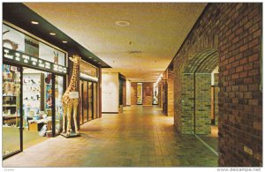 The Attractive Shopping Area In The Place De Ville Centre, Ottawa, Ontario, C...