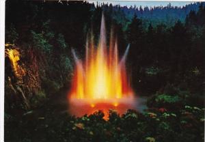 Canada Victoria Ross Fountain Illuminated The Butchart Gardens