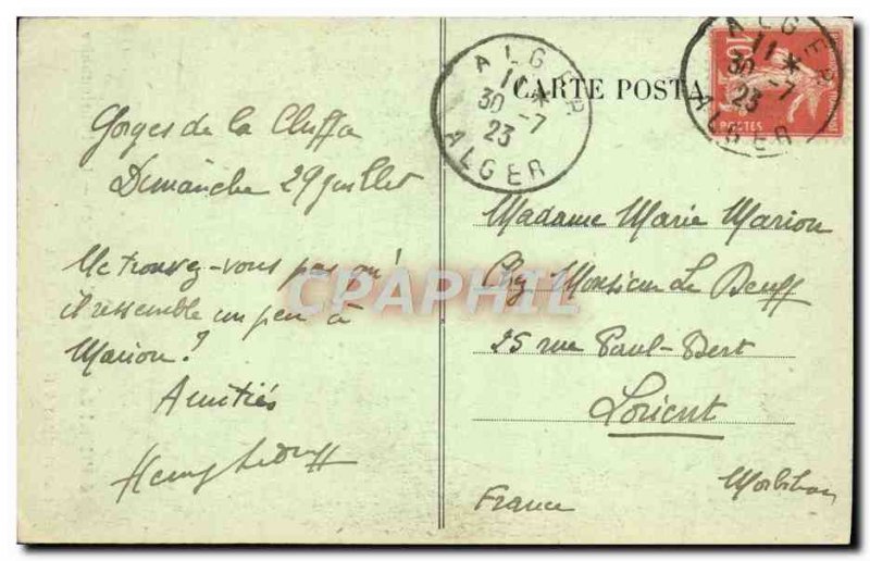 Old Postcard A L & # 39Hotel Creek Monkey A Monkey Boarder