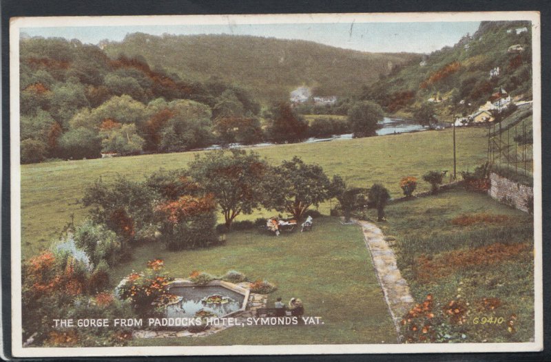 Herefordshire Postcard - The Gorge From Paddocks Hotel, Symonds Yat  RS10934