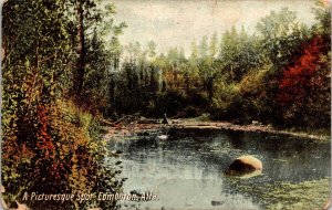 Picturesque Spot Edmonton Alta Antique Postcard PM Merlin ON WOB Note DB Germany 