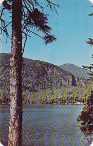 Whiteface Mountain From Copperas Pond In The Adirondack Region New York