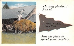 Greetings From Summitville, New York  