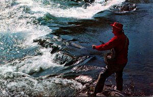 Fly Fishing In Massachusetts