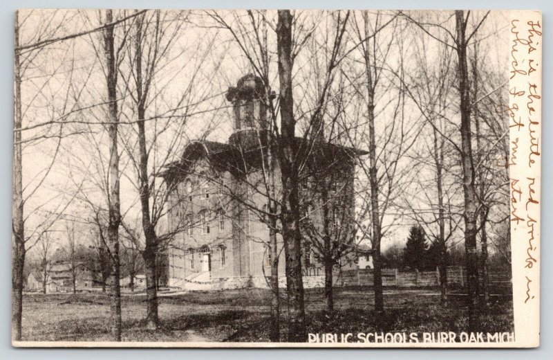 Burr Oak Michigan~Public School in Trees~Cupola~Plank Fence~Got My Start~c1907 