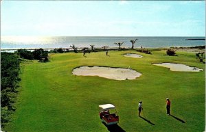 Bahamas,  GRAND BAHAMA HOTEL & COUNTRY CLUB  Golf Course~Golfers~Cart  Postcard