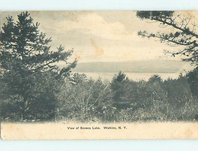 Unused Pre-1907 TREES ALONG SENECA LAKE Watkins New York NY t3269