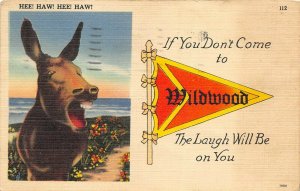 Wildwood New Jersey 1949 Comic Postcard Hee Haw Donkey Pennant Laugh On You
