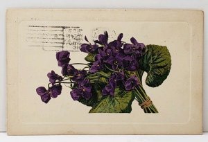 Bouquet of Purple Pansies 1912 to Redwood Grove California Postcard A17