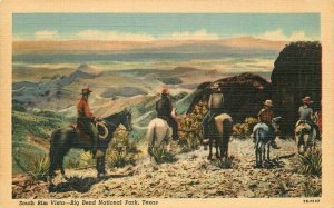 Texas Big Bend National Park South Rim Vista Teich linen Postcard 21-4506