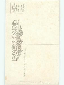 Divided-Back ROMANTIC COUPLE Great Postcard AA7601