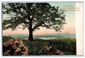 The Sentinel Of Constitution Hill Lanesboro Massachusetts MA Vintage Postcard