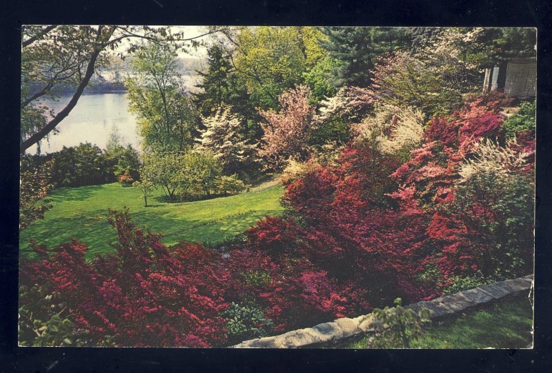 Cranston, Rhode Island/RI  Postcard, Winsor Azalea Garden, Marden Street