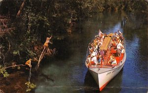 Safe Electrically Propelled Glass Bottom Boats Silver Springs, Florida