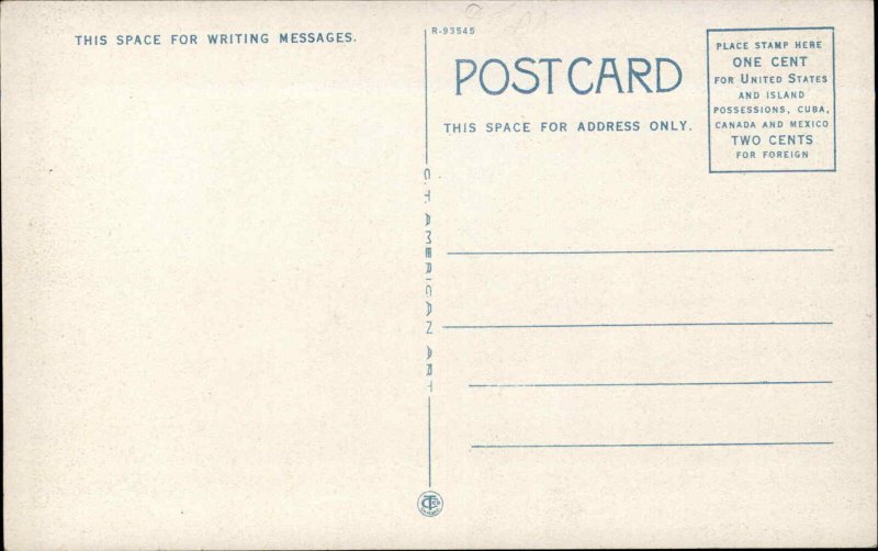 Camden South Carolina SC Hospital Vintage Postcard