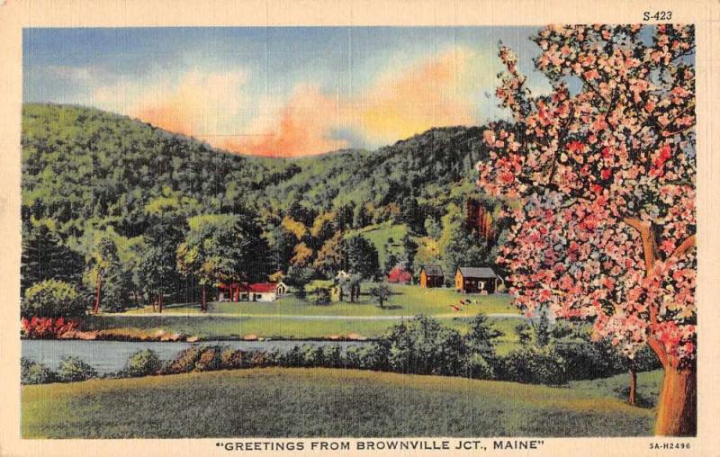 Brownville Junction Maine Greetings Scenic View Vintage Postcard JD933807